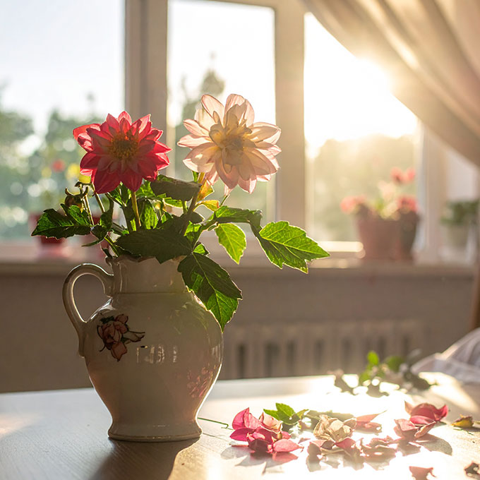 インスタグラム投稿イメージ画像