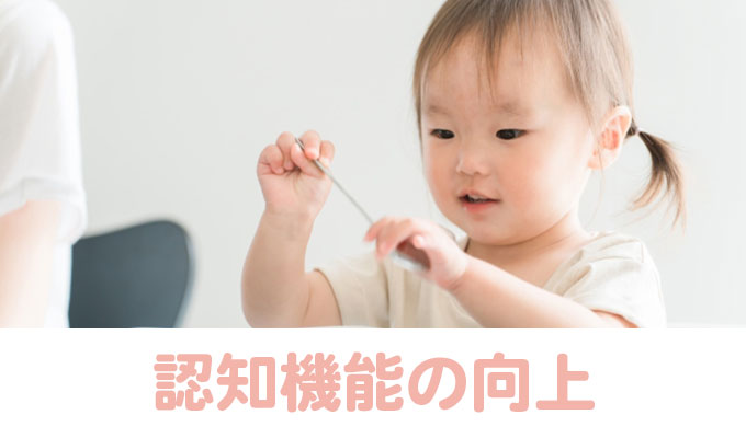 認知機能の向上